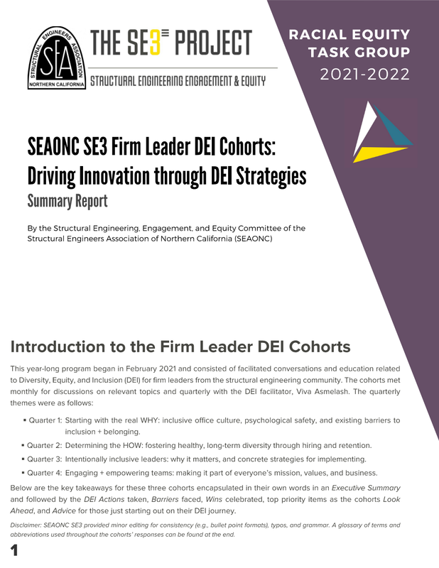 SEAONC SE3 Firm Leader DEI Cohorts Program Summary Report